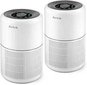 5. 2 Pack Air Purifier for Home Bedroom with H13 True HEPA Filter for Smoke