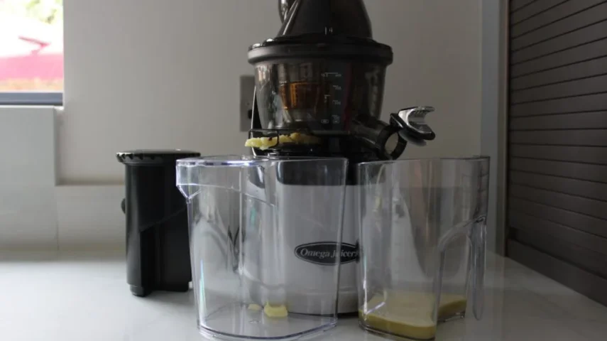 5 Best Juicer In India [May, 2024]