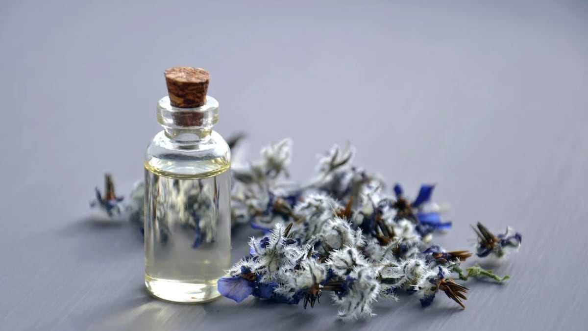 Perfumes Under 1000 voywTK