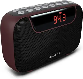 4. Amkette Pocket Blast FM Radio with Bluetooth Speaker with Powerful Sound, Voice/FM Recording, Hidden Antenna, 7+ Hours Playback (USB-C Charging), and Number Pad (AUX, SD Card, USB Input) (Brown)