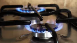 best 3 burner gas stove stainless steel