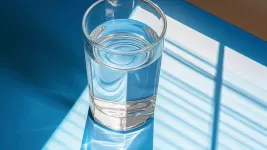 best aquaguard water purifier