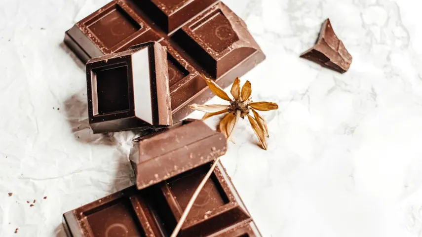 15 Best Dark Chocolates in India [March, 2024]