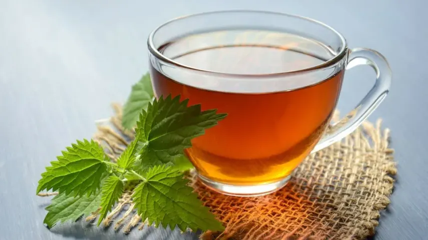 15 Best Green Tea In India for Weight Loss & Better Immunity [March, 2024]