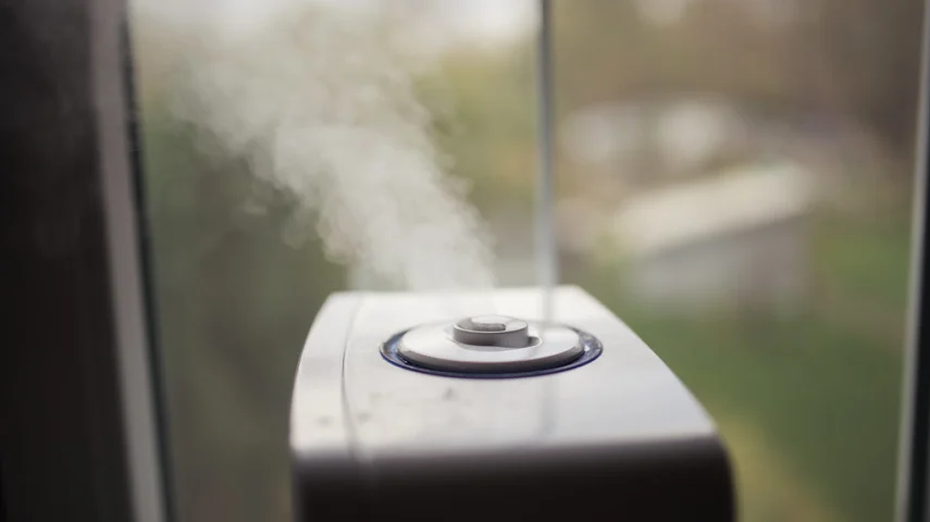 15 Best Humidifiers in India [March, 2024]
