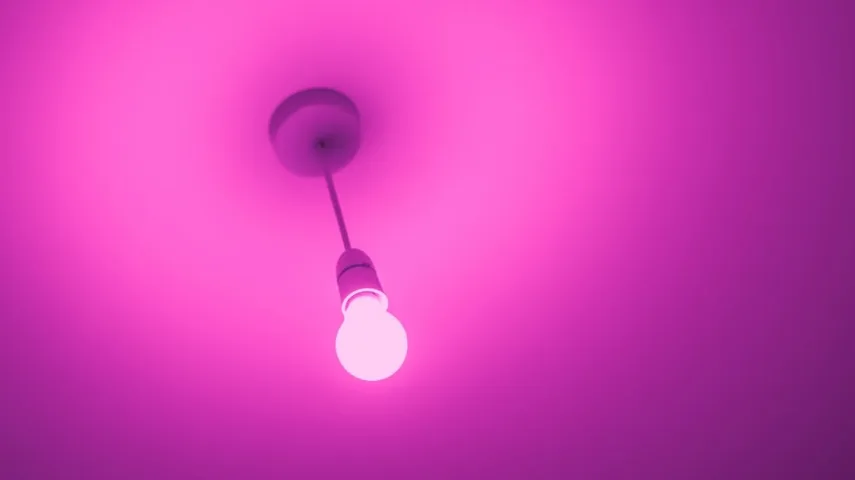 15 Best LED Bulbs in India for Energy-Efficient Lighting [April, 2024]