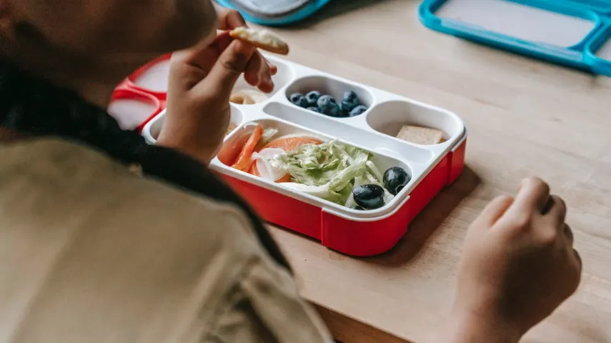 15 Best Lunch Boxes for Office in India [March, 2024]