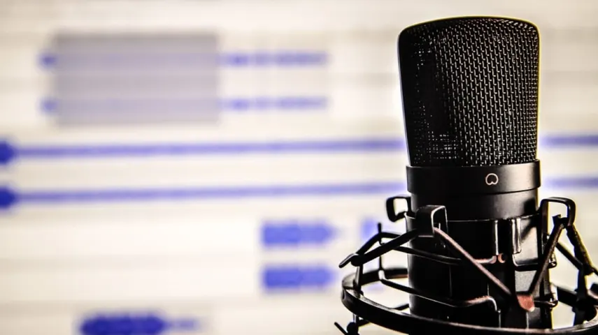 What Are the Best Voice Over Microphones? [2024], Voices