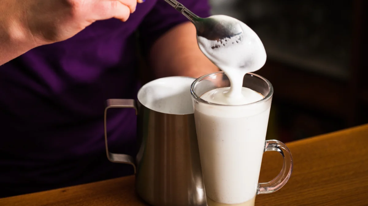14 Best Milk Frothers, Reviewed & Compared [July, 2024]