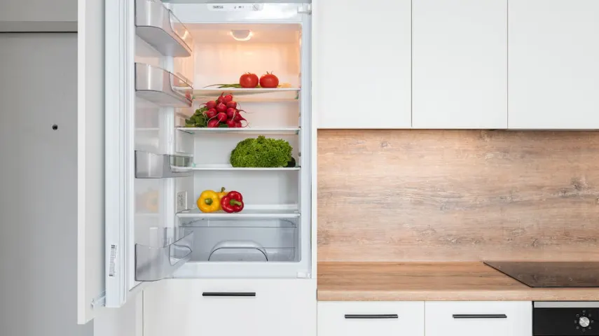 15 Best Refrigerators in India from top brands [May, 2024]