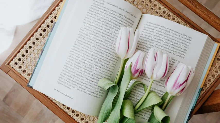 15 Best Romantic Books to Read in India [March, 2024]