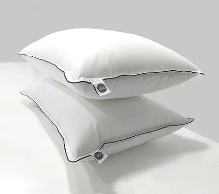 14. bien LIVING Extra Soft Microfiber Filled Plush Pillow