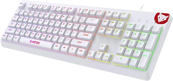 14. EvoFox Deathray RGB Gaming Keyboard