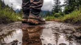 hiking shoes