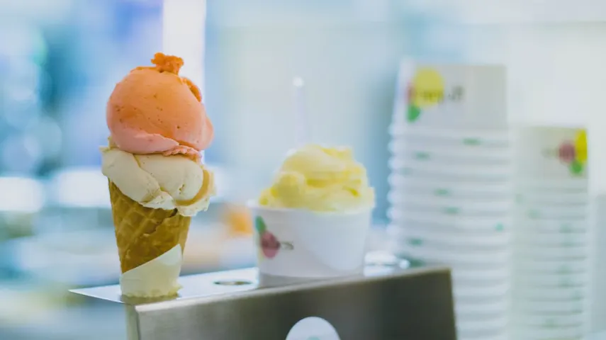 15 Ice Cream Makers in India: Pick the Best Ice Cream Making Machine [March, 2024]