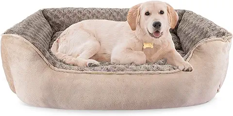 9. JOEJOY Rectangle Dog Bed for Large Medium Small Dogs Machine Washable Sleeping Sofa Non-Slip Bottom Breathable Soft Puppy Bed Durable Orthopedic Calming Pet Cuddler, Multiple Size, Beige