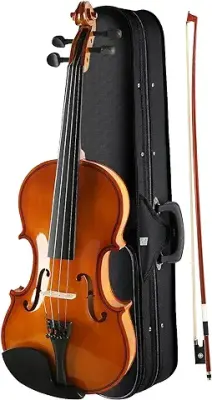 1. Kadence, Vivaldi 4/4 Violin With Bow, Rosin, Hard Case (Brown Glossy V001C)