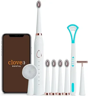 10. Lifelong LLDC63 Electric Toothbrush for Adults