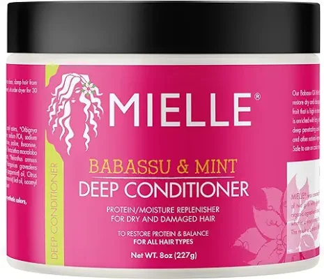 4. Mielle Organics Babassu & Mint Deep Conditioner with Protein