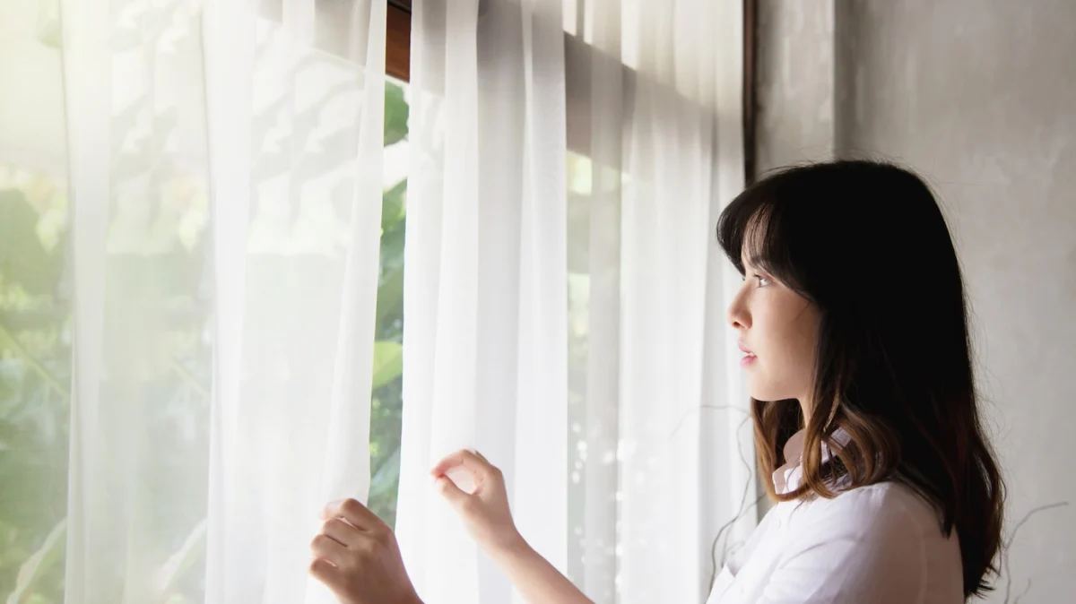 15 Best Mosquito Net for Windows in India [May, 2024]