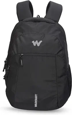 New Polyester 28 liters laptop Casual Backpack