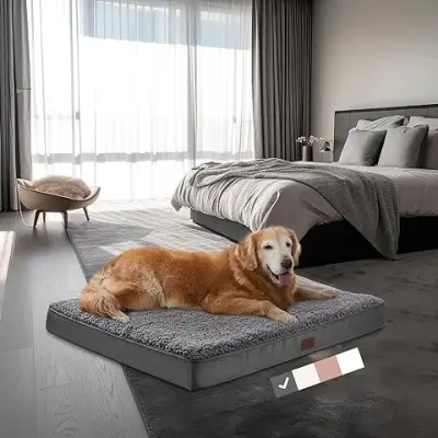 3. OhGeni Orthopedic Dog Beds for Large Dogs