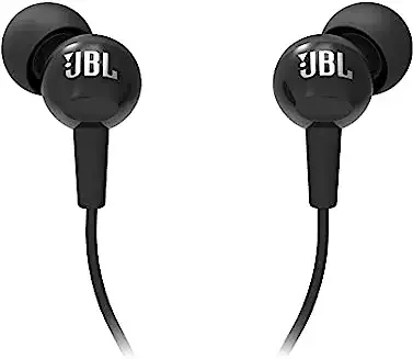 2. JBL C100SI