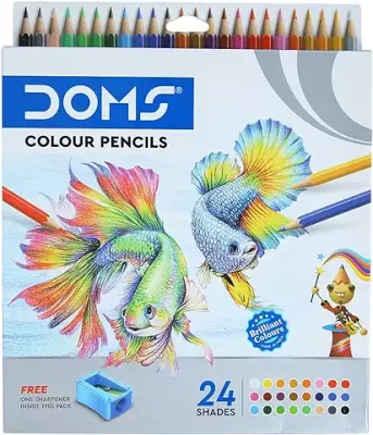 4. DOMS 24 Shades Color Pencils