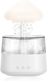 11. The Artment Nimbus Rain Cloud Humidifier