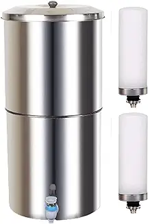 11. Dynore Stainless Steel Non-Electric Water Filter and Purifier With 18 Ltr Capacity Includes 2 Water Filter Candles