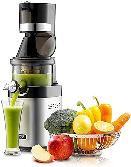 8. Kuvings CS600 Commercial Cold Press Whole Slow Juicer