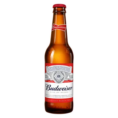 Best Beer Brands in India [March, 2024]