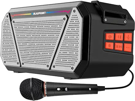 10. Blaupunkt Atomik BB25