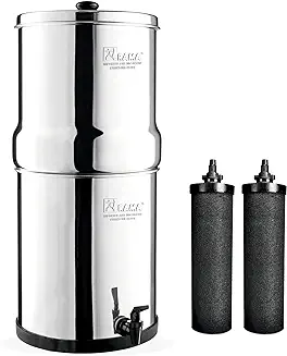 9. RAMA Gravity Water Filter, 12 Litre Storage (24 Litre Total Capacity), 304 High Grade Stainless Steel Water Purifier for Home, 10 Year Manufacturer Warranty with 2 Carbon Candles and Plastic Tap