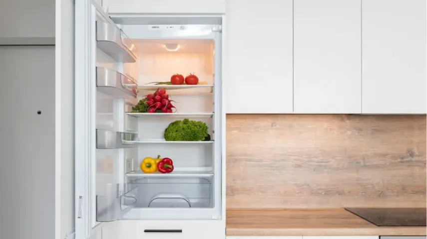 5 Best Single-Door Refrigerators to Choose From [March, 2024]