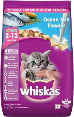 3. Whiskas Kitten (2-12 months) Dry Cat Food Food