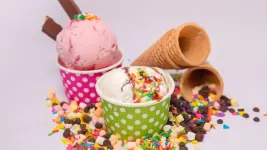 best ice cream brands in india a sweet delight for every palate