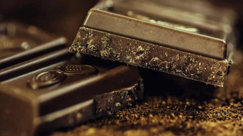 Dark Chocolate vs Milk Chocolate: A Comprehensive Guide [March, 2024]