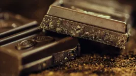 dark chocolate vs milk chocolate a comprehensive guide