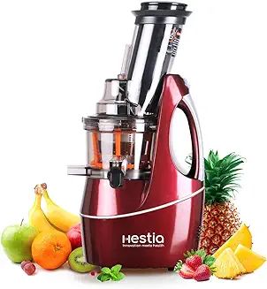 4. Hestia Appliances Nutri-Max Cold Press Juicer