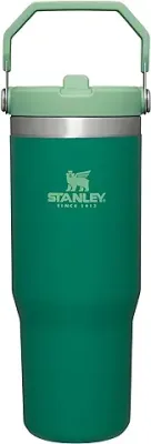 7. STANLEY IceFlow Stainless Steel Tumbler with Straw