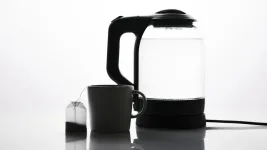 best electric kettles in india