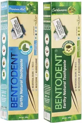 11. BENTODENT TOOTHPASTE 100 g Foam-free Mint and Cardamom Natural Oral Care Toothpaste 100 g