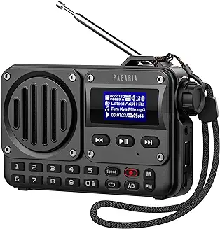 6. Pagaria Grenade 5 Watts Pocket FM Radio with Bluetooth, Tf Card/USB Speaker - LCD Display with Song Name, Folder Selection, Type C Charging, Voice Recording & More
