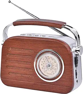 13. Pagaria Retro FM/AM/SW Portable Radio with Bluetooth & USB (Wood Finish)