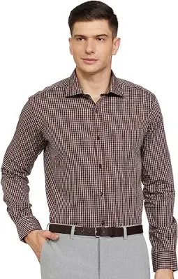 10. PARK AVENUE Men's Pure Cotton Checks Pattern Slim Fit Semi Cutaway Collar Full Sleeve Formal Shirt