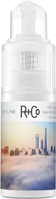 7. R+Co Skyline Dry Shampoo Powder
