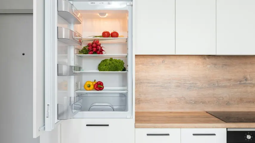 15 Best Small Fridges Prices & Detailed Reviews [May, 2024]