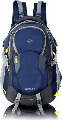 4. Wesley Spartan Unisex Travel Hiking Laptop Bag fits Upto 17.3 inch with Raincover and Internal Organiser Backpack Rucksack College Bag