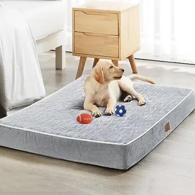 12. WNPETHOME Orthopedic Dog Beds for Large Dogs